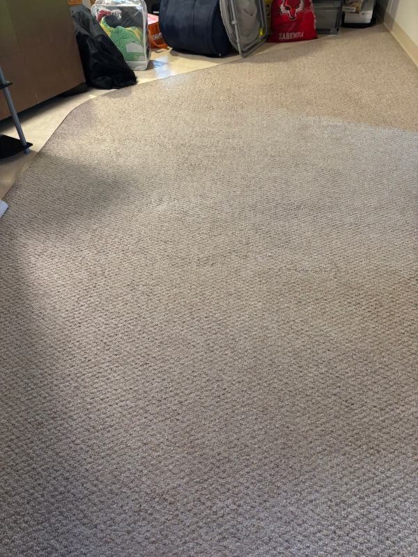 Carpet after our Low Moisture Treatment