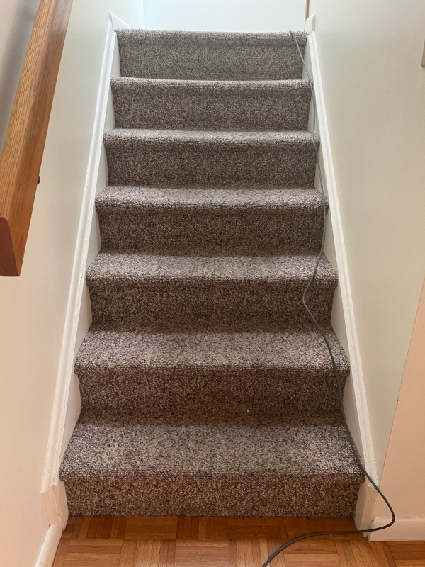 Stair carpet before our Low-Moisture Treatment